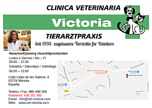 Webseite Clinica Veterinaria
